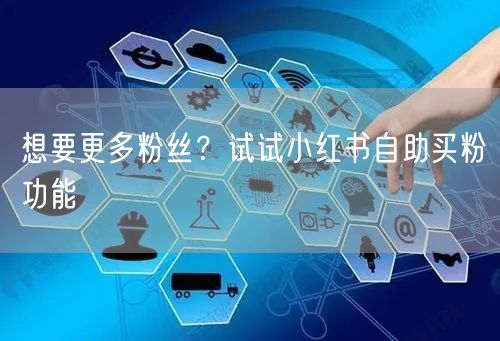 想要更多粉丝？试试小红书自助买粉功能
